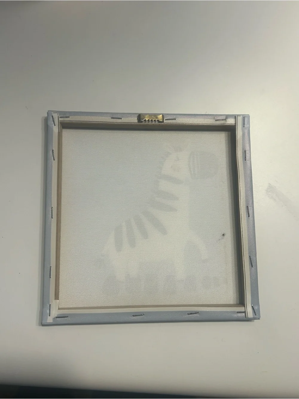 Zebra Canvas Wall Art